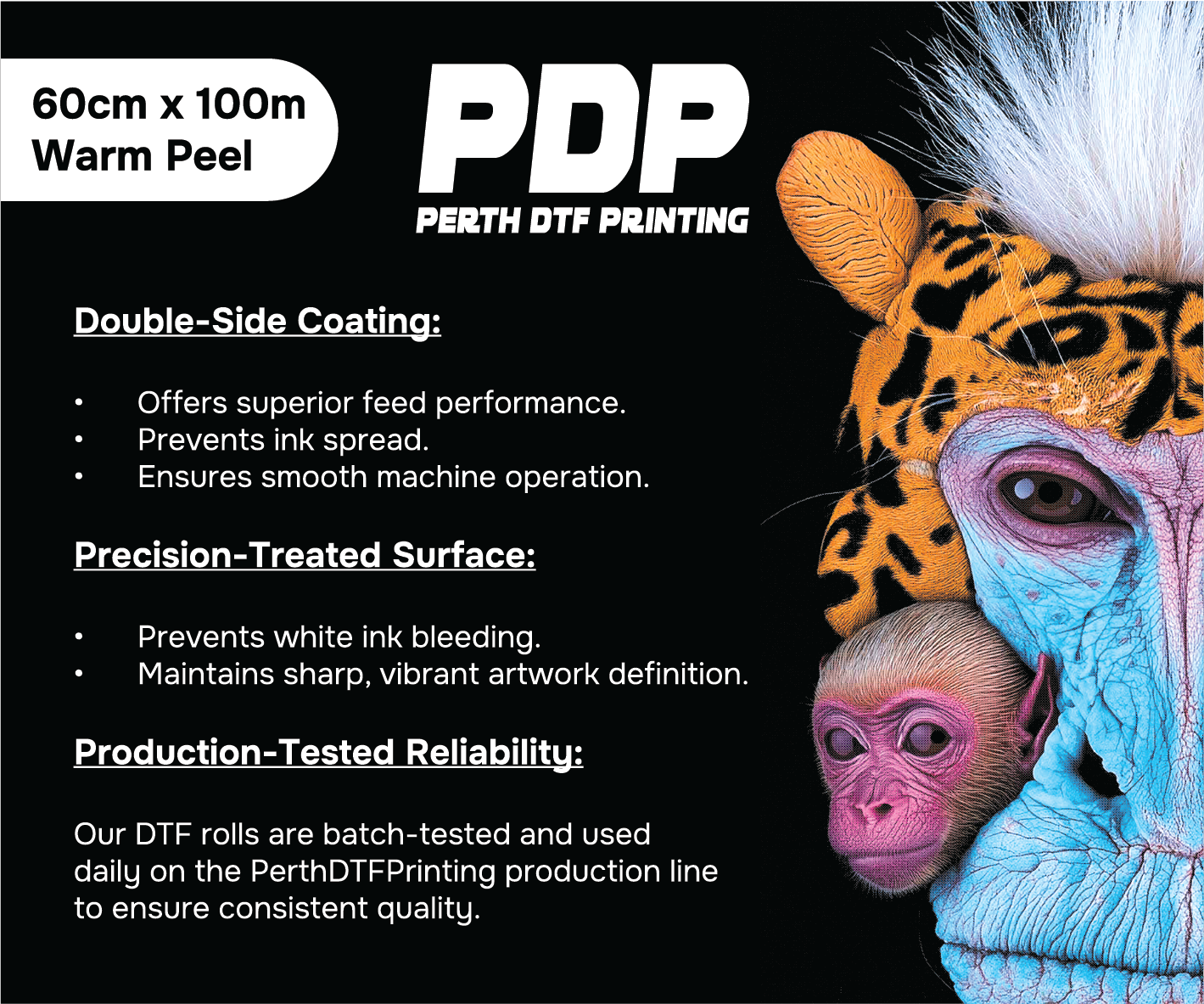 (2-Pack)  60cm DTF Film Rolls – 2 x 100m Warm Peel | Perth Stock